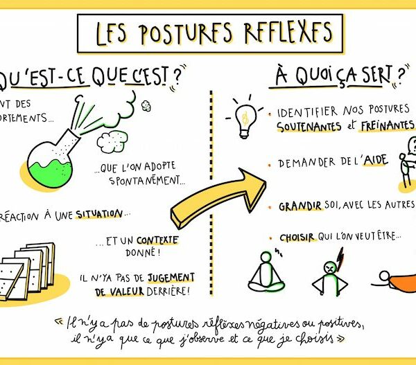 Aperçu ressources fertîles Postures Reflexes Facilitation Graphique