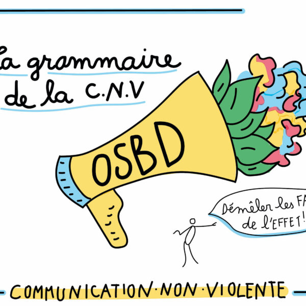 Aperçu ressources fertîles Grammaire de la communication Non violente CNV OSBD Facilitation Graphique